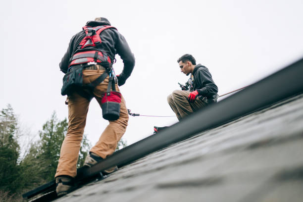 Roof Repair and Replacement